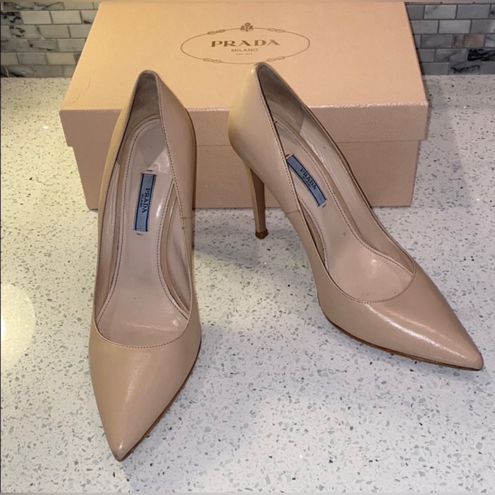 Prada Capretto Basic Cipria 41